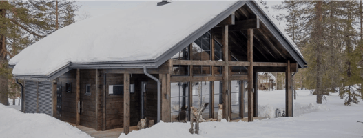 Honka Log Home