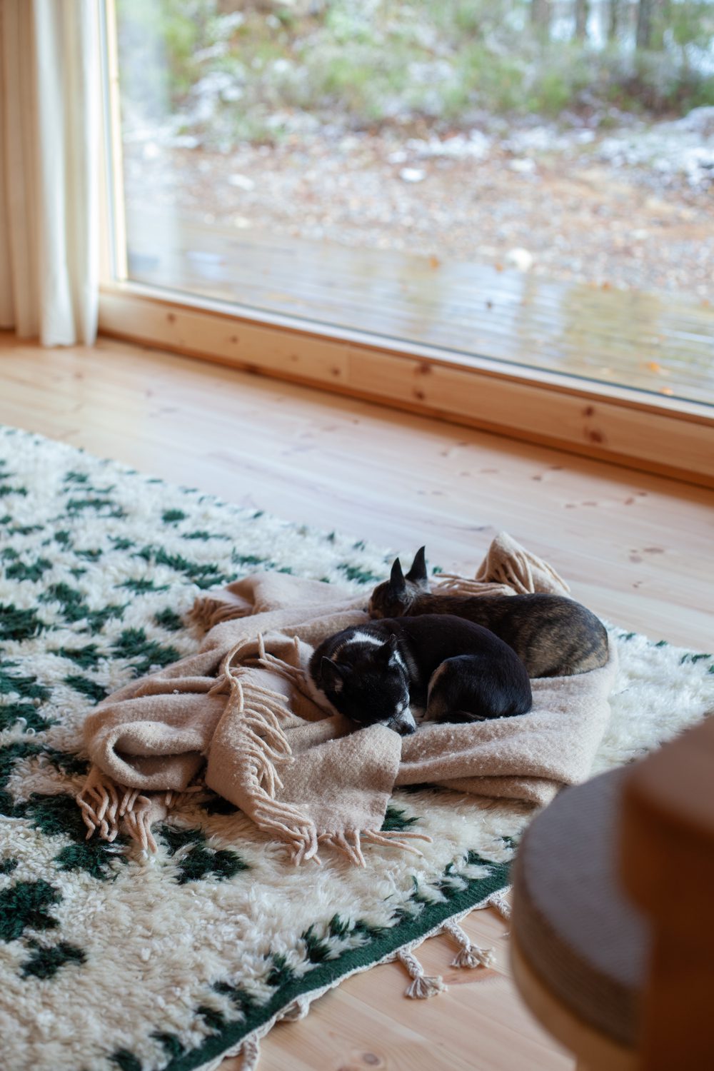 honka-log-cabin-reference-vihreatalo-rantama-livingroom-02-dogs-id4004508